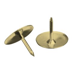 Boîte de 100 punaises laitonnées