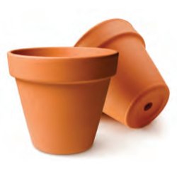 Pot de fleurs graine creative terre cuite diam. 8cm lot 10  unites
