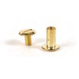 Boîte de 20 vis Chicago pour FIMO CUIR