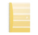 Cahier Oxford iconic integrale 185x250 120pages quadrille 5/5 assorti