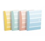 Cahier Oxford iconic integrale 185x250 120pages quadrille 5/5 assorti