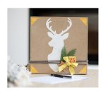 Colle cléopâtre forte reliure multi-matériaux spécial bricolage précis séchage rapide bois porcelaine flacon 1l