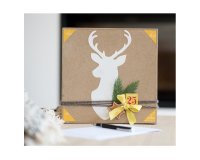 Colle cléopâtre cléocol extra forte séchage rapide matériaux poreux diluée eau vernis mat pot 500g