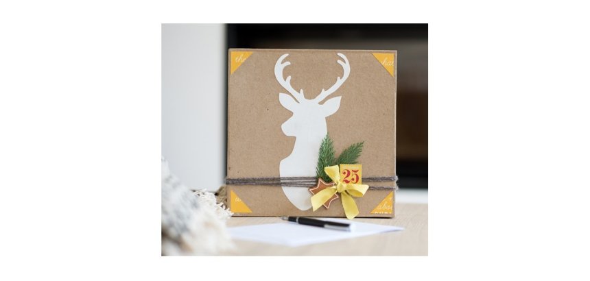 Colle cléopâtre cléocol extra forte séchage rapide matériaux poreux diluée eau vernis mat pot 500g