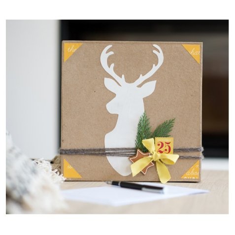 Colle cléopâtre cléocol extra forte séchage rapide matériaux poreux diluée eau vernis mat pot 500g