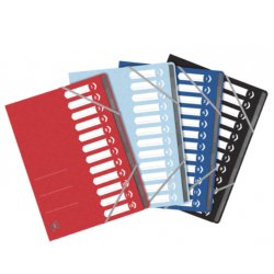 Trieur standard Oxford a4 12 positions couverture carte assortis