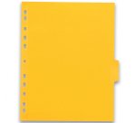 Dividers A4+ glossy 220g colored card Oxford Color Life 6 Neutral Tabs - 1 Set