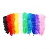 Plumes de dinde sodertex multicouleurs theme           multicolor 25g 12 a 18 cm 10  coloris assortis
