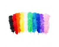 Plumes de dinde sodertex multicouleurs theme           multicolor 25g 12 a 18 cm 10  coloris assortis