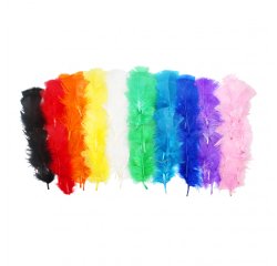 Plumes de dinde sodertex multicouleurs theme           multicolor 25g 12 a 18 cm 10  coloris assortis