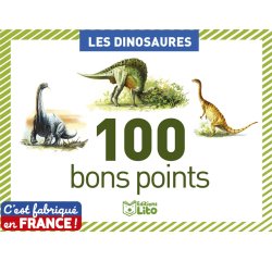 Bon point éditions lito dinosaures texte pédagogique au verso 61x82mm boîte 100 unités