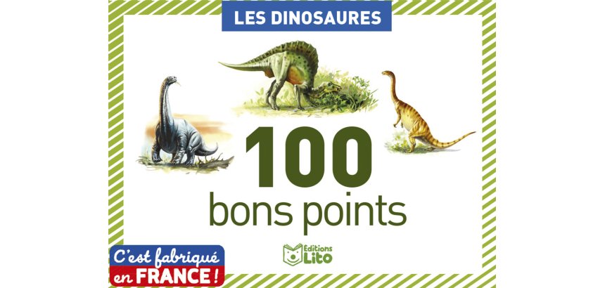 Bon point éditions lito dinosaures texte pédagogique au verso 61x82mm boîte 100 unités