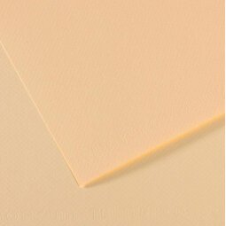 Feuille MI-TEINTES® 50X65 160g ivoire 111