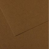 Feuille MI-TEINTES® 50X65 160g marron foncé 501