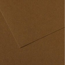 Feuille MI-TEINTES® 50X65 160g marron foncé 501