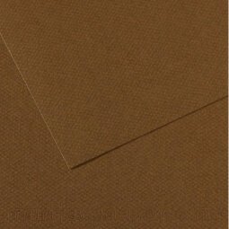 Feuille MI-TEINTES® 50X65 160g marron foncé 501