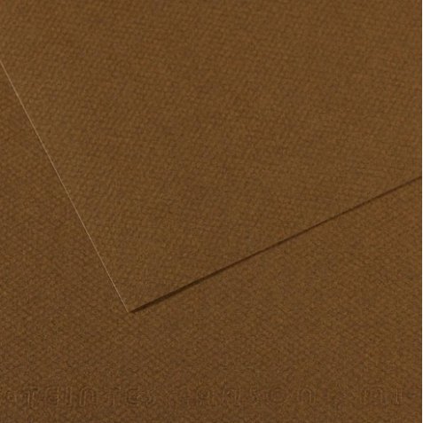 Feuille MI-TEINTES® 50X65 160g marron foncé 501