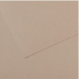 Feuille MI-TEINTES® 50X65 160g gris flanelle 122