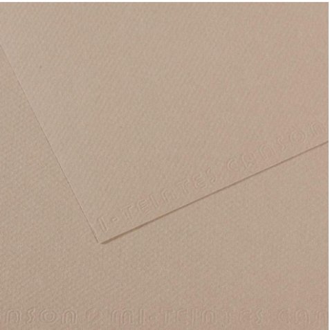 Feuille MI-TEINTES® 50X65 160g gris flanelle 122