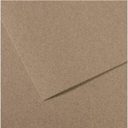 Feuille MI-TEINTES® 50X65 160g gris chiné 431