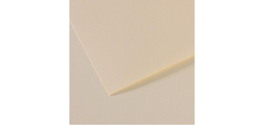 Papier dessin canson feuille mi-teintes n 110 grain        gelatine haute teneur coton   160g 50x65cm unicolore lys