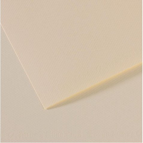 Feuille MI-TEINTES® 50X65 160g lys 110