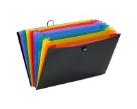 Valise trieur RAINBOW 12 compartiments, en polypro 10/10e, noir intérieur multicolore