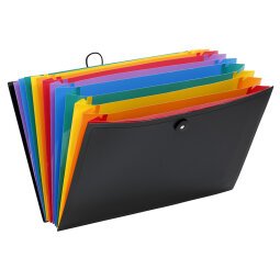 Valise trieur RAINBOW 12 compartiments, en polypro 10/10e, noir intérieur multicolore