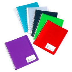 Protège-documents viquel propyglass géode semi-rigide 30 pochettes 60 vues document a4 coloris assortis