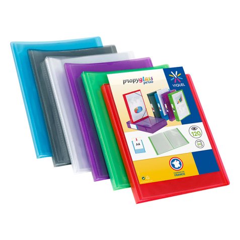 Protège-documents Viquel polypropylène translucide personnalisable A4 60 pochettes - 120 Vues – couleurs assorties