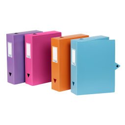 Boîte de classement plastique VIQUEL CLASS DOC - Dos 8 cm - couleurs assorties