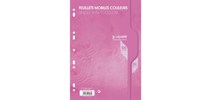 Feuillets mobiles sous film 7000 A4 100 pages perforées grands carreaux 80 g