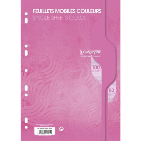 Feuillets mobiles sous film 7000 A4 100 pages perforées grands carreaux 80 g