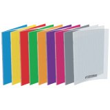 Cahier 210 x 297 mm, Seyès