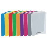 Cahier piqûre 24x32cm 48 pages 90g quadrillé 5x5. Couverture polypropylène incolore