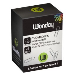 Boîte de 100 trombones polies galvanisé 25 mm