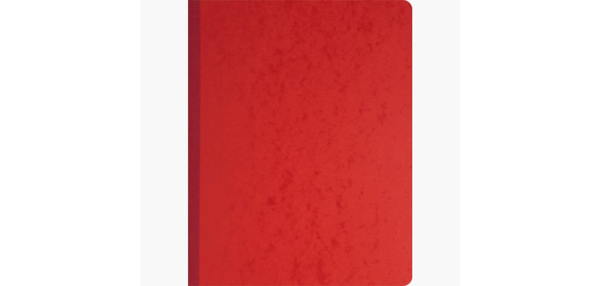 Manifold comptable exacompta piqué tête paresseuse 320x250mm vertical 31 lignes 80 pages 8 colonnes/page