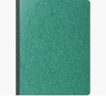 Manifold comptable exacompta piqué tête paresseuse 320x250mm vertical 31 lignes 80 pages 8 colonnes/page