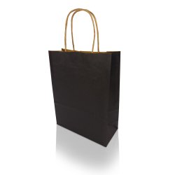 Boîte 200 sacs poignées torsadées kraft naturel 100%, format 32 x 42 x 15 cm, Couleur Noir