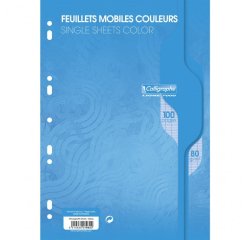 Feuillets mobiles sous film 7000 A4 100 pages perforées grands carreaux 80 g