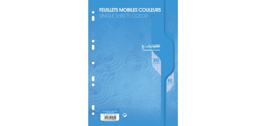 Feuillets mobiles sous film 7000 A4 100 pages perforées grands carreaux 80 g