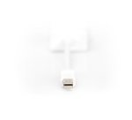 Digitus Cable adaptador Mini DisplayPort - VGA