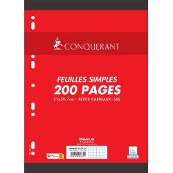 Feuillets mobiles 21x29,7cm 200 pages 90g 5x5. Sous sachet, papier blanc