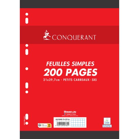 Feuillets mobiles 21x29,7cm 200 pages 90g 5x5. Sous sachet, papier blanc