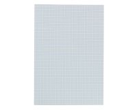 Copies doubles 200 pages 5 x 5 21 x 29,7 cm  Conquérant - non perforées