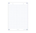 Fiche bristol 210 x 148 mm quadrillée 5 x 5 perforée blanche Oxford Révision 2.0 - Sachet de 32