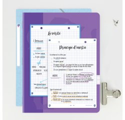 Fiche bristol 210 x 148 mm quadrillée 5 x 5 perforée blanche Oxford Révision 2.0 - Sachet de 32