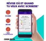 Fiche bristol 210 x 148 mm quadrillée 5 x 5 perforée couleurs assorties Oxford Révision 2.0 - Sachet de 32