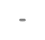 Apple USB-C to USB Adapter