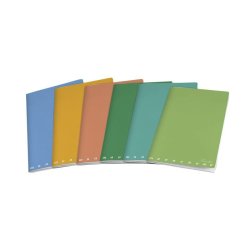 Pigna 02309785M writing notebook A4 20 sheets Multicolour